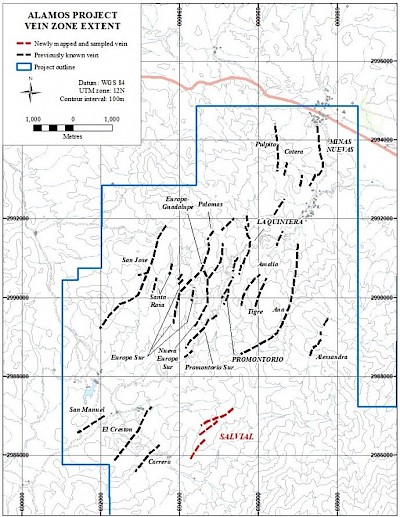 Figure 1.  Alamos project, showing previously known vein zones and the newly mapped and sampled Salvial vein zone.