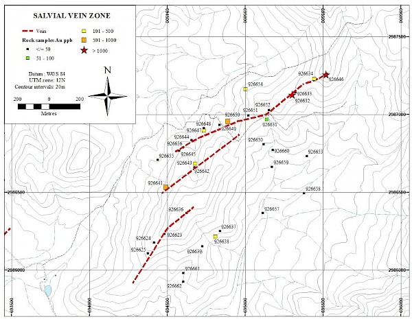 Figure 2.  Salvial vein zone, showing rock sample locations, identified by sample number.  Significant sample results are presented in Table 1.  The Salvial zone is entirely hosted by quartz monzonite.