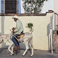 Local farmer commuting via donkey