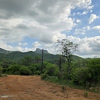 Power runs throughout the Alamos silver project